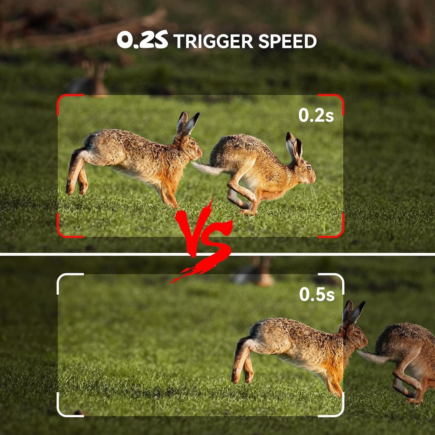 Osmo WildPro