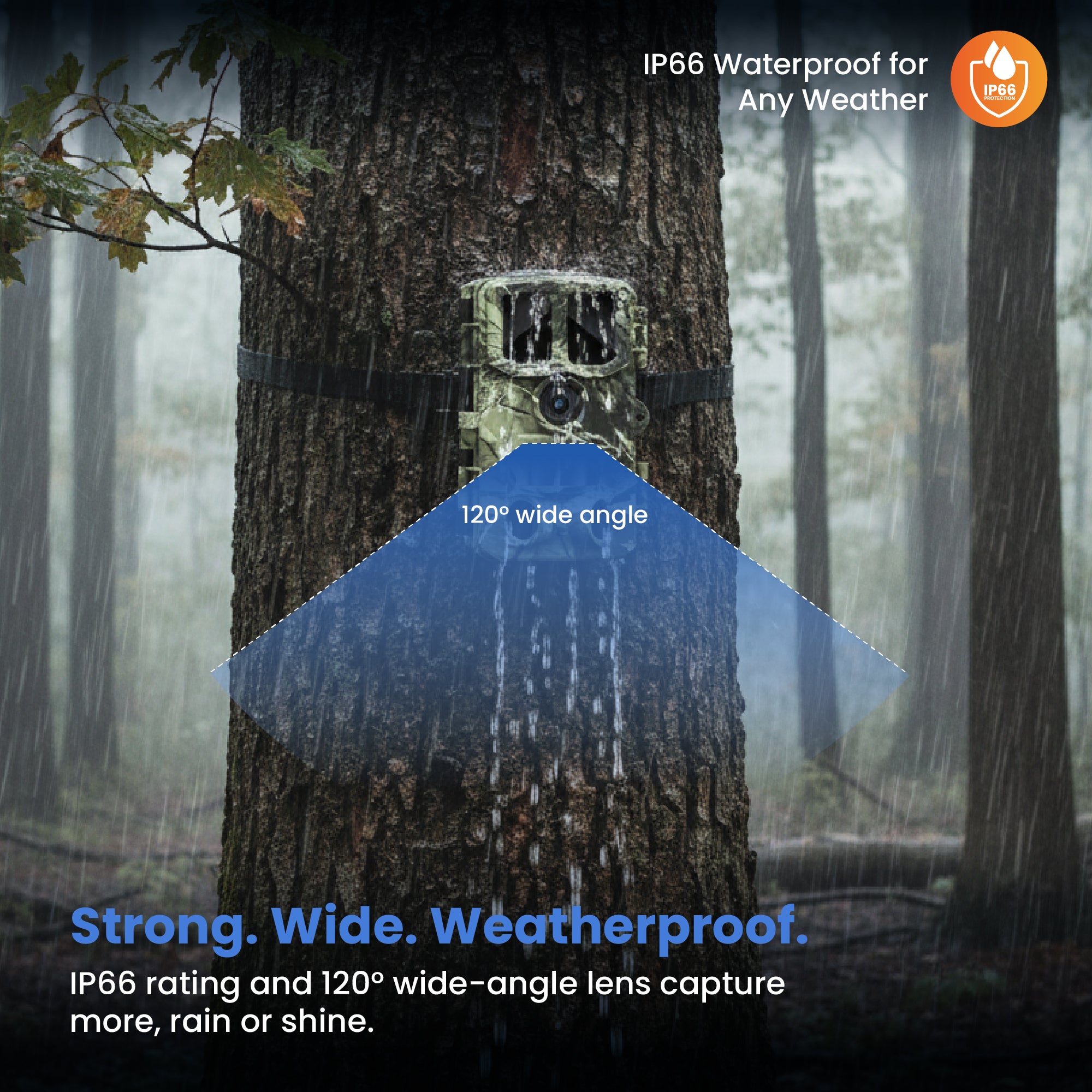 Image 4.jpg__PID:26b51fb2-f12f-4b43-bffe-ae936cfab033